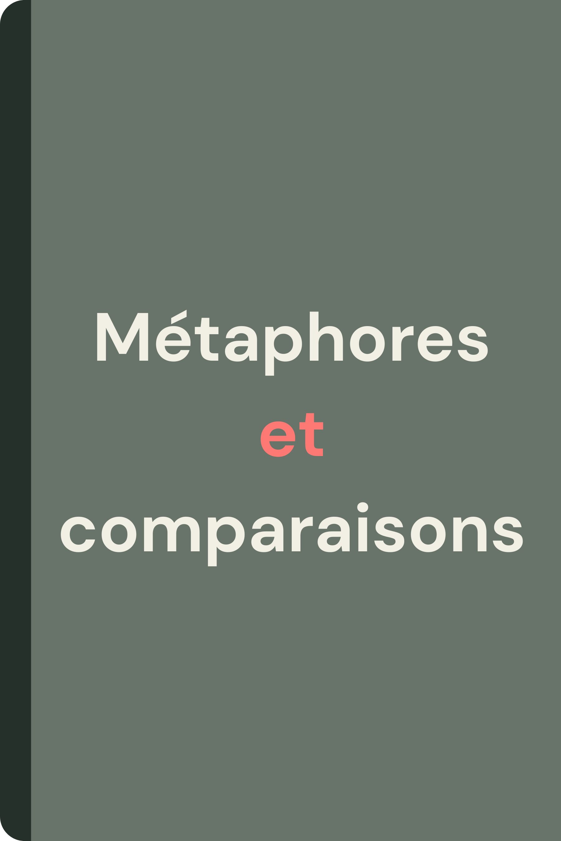 métaphores et comparaisons